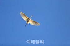 [여행] 얼음 녹고 철새 떠난 자리, 어느새 봄이 스며들다