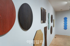 [e갤러리] 갈라진 살결까지 드러낸 민낯…이형우 오동나무