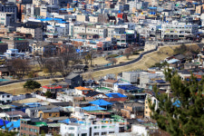 [여행] 정조의 천도의 꿈 품은 화성을 거닐다