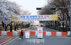 [포토]코로나19에 여의도 벚꽃길 통제