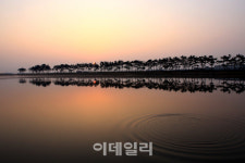 [여행] 뭍이 된 섬 계화도, 바다 잃은 어부에게도 봄날은 온다