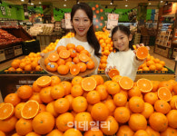 [포토]롯데마트, 제주 진지향과 미국산 만다린 오렌지 선보여