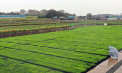 공익직불제 지급단가 확정, 논 직불금 최고 50% 올라(종합)