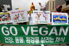 [포토] 환경을 살리는 채식