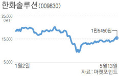 태양광에 소재까지…한화솔루션, 양날개 다나