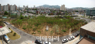 교육감 제안으로 시작한 숲 조성사업…의정부 힐링공간으로 거듭