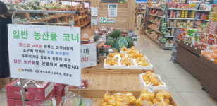 ‘지역농산물’이라더니…공판장서 사다 판 로컬푸드 매장
