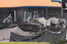 가축전염병 폐업농가, 정부가 2년간 순수익 보전