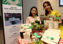 [포토] 친환경 식물 재배 키트