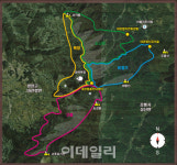 103㎞ 대관령 숲길, 대한민국 대표 산림관광자원으로 조성