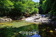 [가보자! 경기북부]요즘 유행하는 `차박`하기 좋은 계곡 속으로