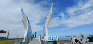 [인싸핫플] 천사의 섬에 숨은 진짜 천사를 찾아라