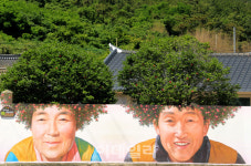 [인싸핫플] 천사의 섬에 숨은 진짜 천사를 찾아라