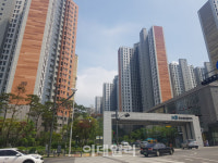 ‘金포’된 김포 가보니…“한강신도시 갭투자자가 싹쓸이”