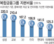삼성 등 복합금융그룹, 전이위험 높아…자본 더 쌓아라