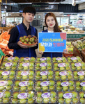 [포토] 농협하나로마트, 무화과 첫 출하