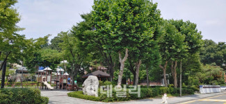 [찰칵부동산] 원조 로또분양 강남보금자리지구 가보니