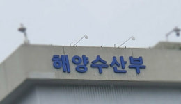 남해·서해 수온상승 예상…해수부, 고수온 관심단계 발령