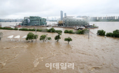 [포토]한강 둔치도 흙탕물 속으로