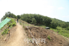 산림청, 비무장지대 일원서 녹지축 조성사업 추진