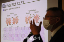 [포토]韓 연구진, 영장류 모델 실험으로 코로나19 바이러스 특성 확인