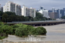 [포토]한강시민공원인지 알수 있게 해주는 나무