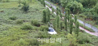 [포토]한강시민공원에 올라온 보트