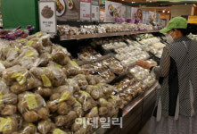 [포토] 채소·과일 가격 상승