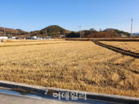 [경매브리핑]곡창지대의 힘…해룡면 2.6억짜리 답, 웃돈 5억