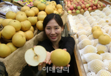 [포토] 햇 화산배 출하