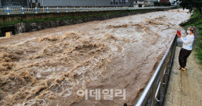 [포토]불어난 회야강의 물