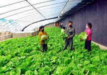 北주민 40% 굶고있다는 UN보고서는 과장