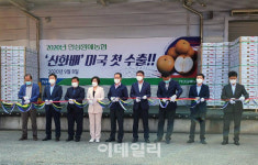 [포토] 신화배 미국 첫 수출