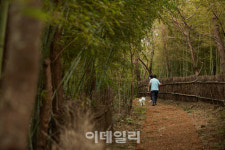 코로나 블루, 동네 산책하며 툴툴 털어버려요