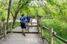 [한양구경] 바람맞으며 스트레스 툴툴 날려보내다