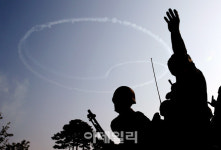 [포토]6·25 전쟁영웅 위에 새겨진 태극기