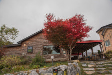 가을 정취를 즐길 수 있는 평창카페