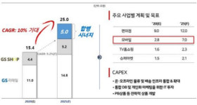 GS홈쇼핑·리테일 흡수합병, 시너지 두고봐야 -신한