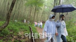 숲치유 프로그램, 코로나 우울 개선에 효과 입증
