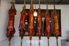열대과일·음식·해변…필리핀서 가장 그리운 것들