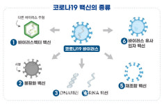 식약처, 셀리드·진원생명과학 코로나19 백신 임상 승인