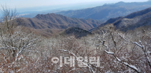 산림청, 이달의 추천 국유림 명품숲으로 향로봉 선정