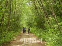 산악용 오토바이·자전거, 산림레포츠 전용 숲길만 이용 가능