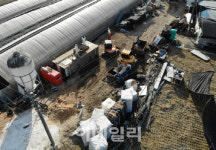 경주 산란계 농장, 고병원성 AI 확진…20만8000마리 살처분
