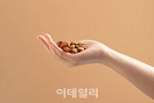 [포토] 건강 간식 선호