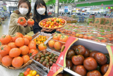 [포토] 토마토로 면역력 강화하세요~