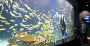 [포토]광교에 오픈한 아쿠아플라넷