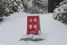 닭 사육마릿수 전년대비 소폭 감소…AI 확산 영향 1분기에 본격화