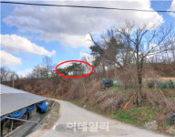 [경매브리핑]아파트 이어 땅도 ‘들썩’…세종시 임야, 102대 1