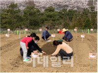 서울시, 내달 1일부터 친환경농장 6800구획 선착순 분양